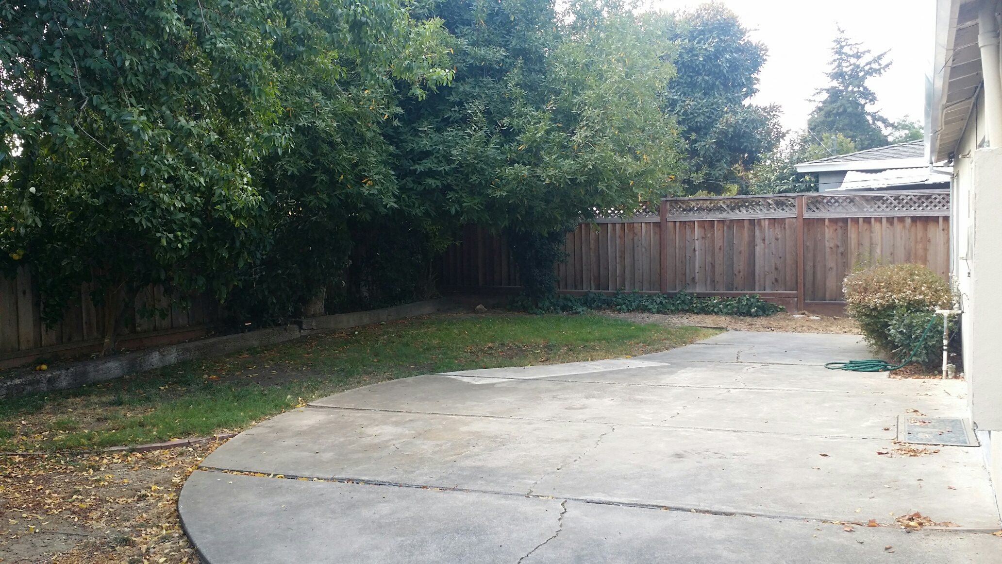 Gallery Photo 3